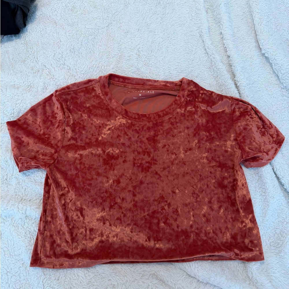 Aeropostale Velvet Rust Top